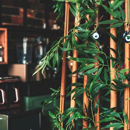 Kalkan Suites מלון קלקן